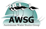 Latest satellite tagging news from AWSG