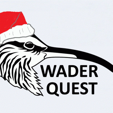 Early Christmas present for Wader Quest