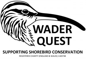 Wader Quest logo