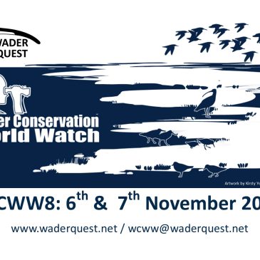 Wader Conservation World Watch; it’s just around the corner.