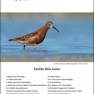 Autumn 2022 Wader Quest newsletter is published.